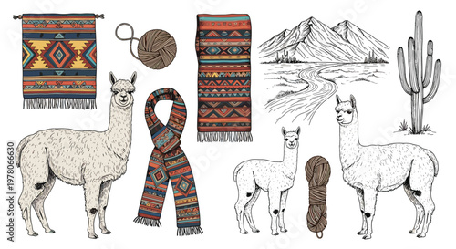 Hand-drawn illustrations showcase llamas, traditional south american textile patterns, balls of wool, and a desert landscape with tall cacti.