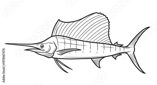 Sailfish Illustration, Ocean Predator, Marine Life Drawing, Sport Fishing Icon