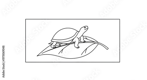 Cute cartoon tortoise walking on a green leaf, black and white illustration