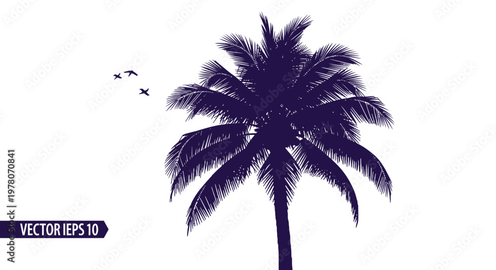 Fototapeta premium Dark Purple Silhouette Palm Tree with Birds Flying on White Background