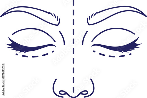 Cosmetic surgery diagram face outline eyes and nose marked for procedure medical illustration isolated vector