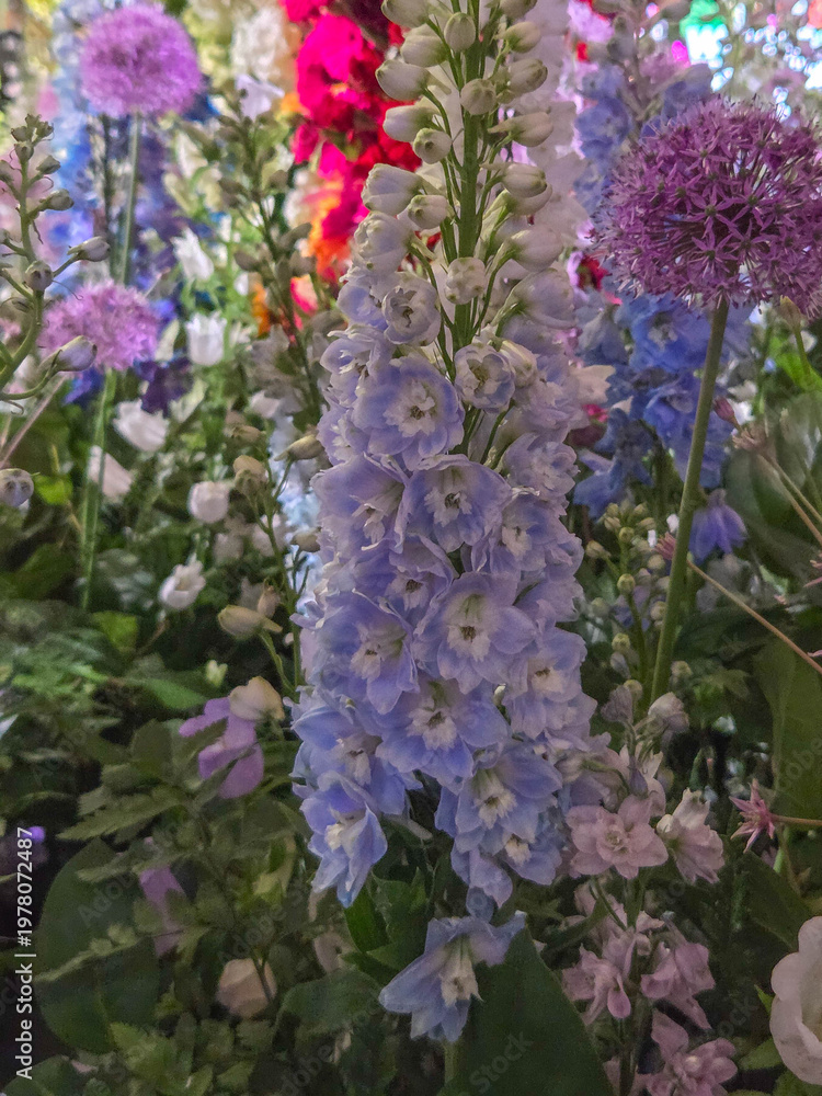 Obraz premium Flowers and floral arrangements in various combinations.