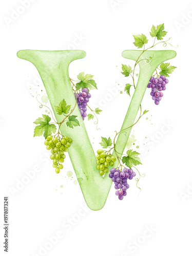 Watercolor V with green and purple grapes