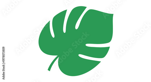 Green Monstera Leaf Icon Isolated on White Background, Tropical Plant Symbol