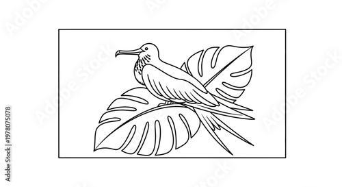 Line Art Illustration of a Frigatebird Perched on Tropical Leaves