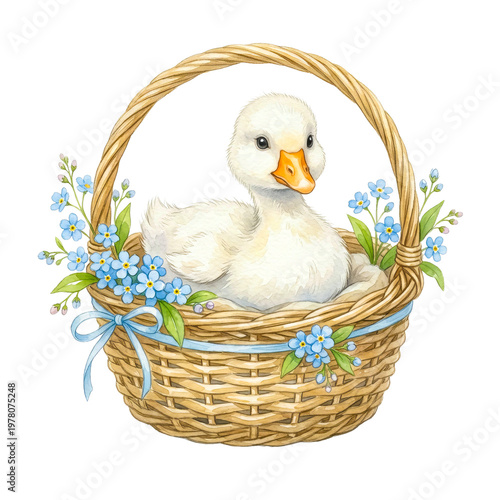 Duckling in basket watercolor illustration with flowers
