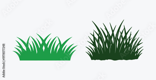 A comparison of two stylized green grass patches isolated against a clean white background area