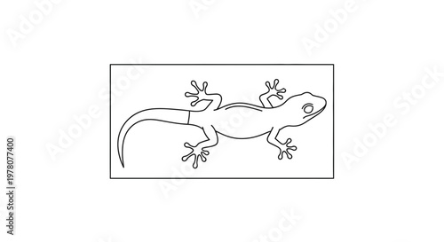 Gecko Lizard Outline Drawing