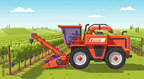 Grape Harvester Machine in Vineyard Agriculture Field, Rural Landscape