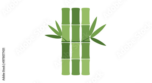 Green bamboo stalks with leaves on white background, minimalist graphic