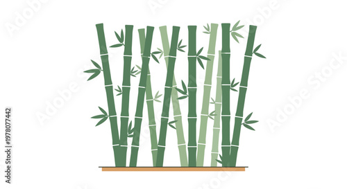 Green Bamboo Stalks with Leaves on White Background