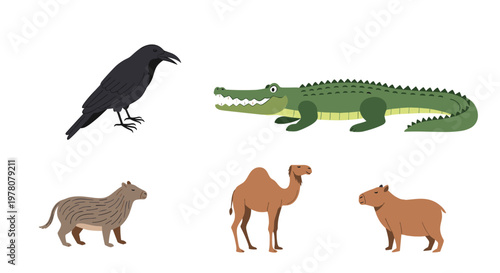 A diverse collection of five animal illustrations including a crow crocodile camel capybara and a wild boar on a white background.