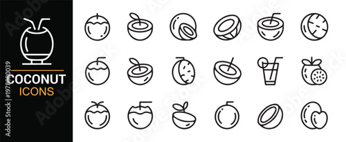 Exotic island drink symbols and fruit cocktail set