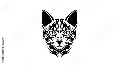 Black and white tiger face.