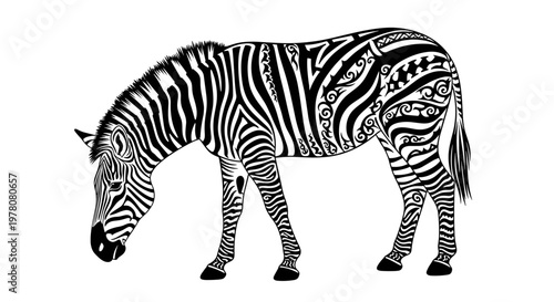 Black and white zebra illustration.