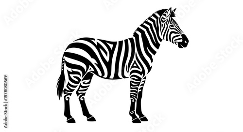 Black and white zebra standing.