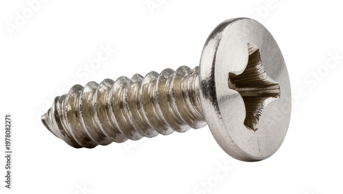 Cuadro en lienzo Silver Phillips Head Screw with Sharp Threaded Shank
