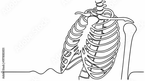 Minimalist line art of a human rib cage with an EKG heartbeat line