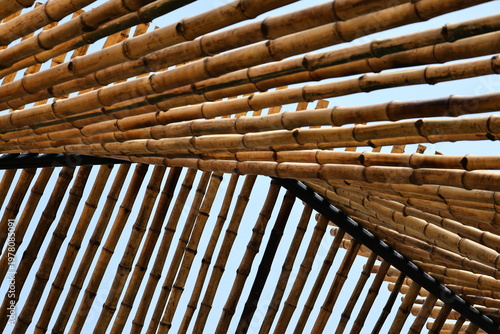 Obraz na płótnie Bamboos used in the construction area
