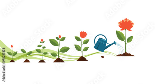 Illustration showing the different stages of plant growth from a seedling to a blooming flower being watered by a blue can.