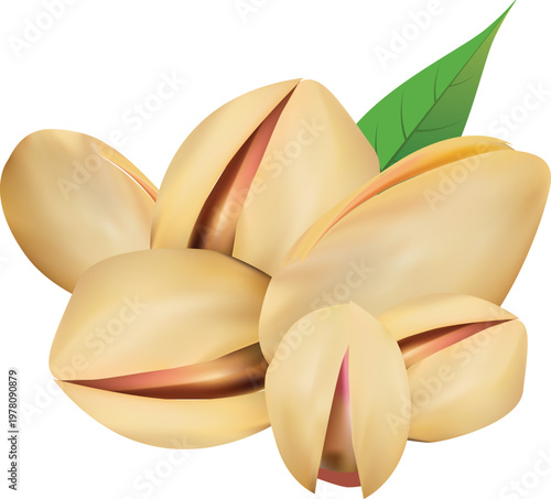 Vector design of pistachio nuts vector with leaves
