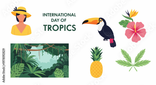 Tropical vector illustrations featuring a woman toucan pineapple flowers jungle scene and commemorative text