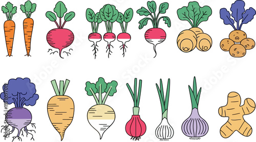 A Colorful Collection of Root Vegetables and Ginger in a Flat Style Isolate PNG