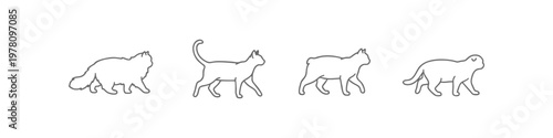 Set of walking cat line art illustrations with various breeds side view.