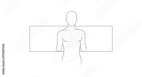 Anatomical Sketch of Human Torso Muscles, Back View, Scientific Illustration