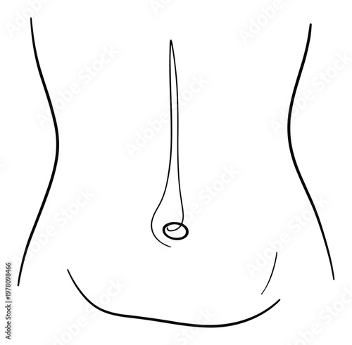 Simple body outline focusing on the midsection and belly button, perfect for conveying concepts of health, body image, or personal care in various contexts