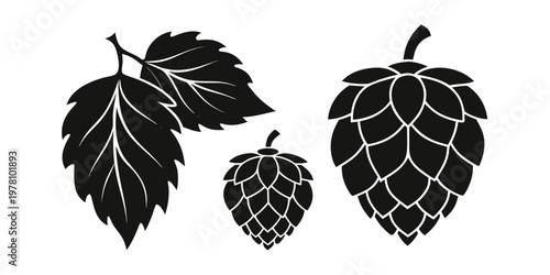 Vector hop cone and vine silhouettes close up set of brewery hop leaves and cones minimalist flat black isolated studio