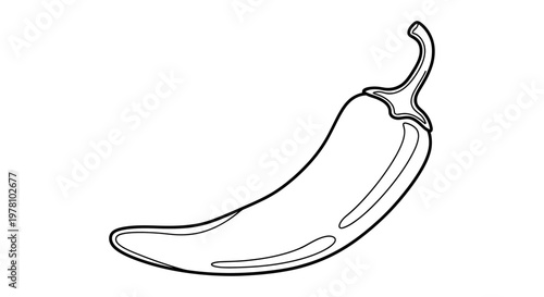 Monochromatic line drawing of a spicy chili pepper perfect for culinary illustrations kitchen decor or graphic design projects.