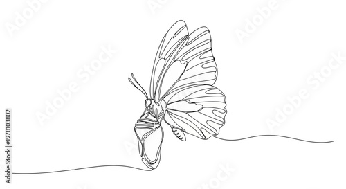Elegant continuous line drawing depicting a butterfly emerging from its chrysalis, symbolizing metamorphosis, growth, and new life stages for natureinspired designs.