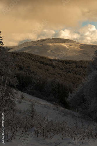 Vertical view of Polonina Wetlinska in Bieszczady Mountains during a winter sunset with frosted plants in the foreground and golden light on snowy slopes.