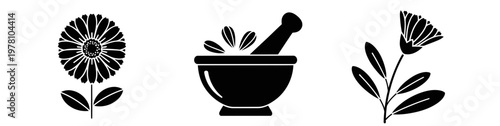 Botanical icons representing herbal medicine and natural remedies, including calendula flowers and a mortar and pestle, ideal for health and wellness branding.