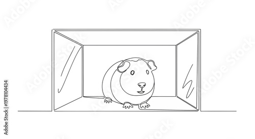Continuous line drawing of a guinea pig in a transparent box. Minimalist pet animal visual for educational content, veterinary topics, or childrens media.