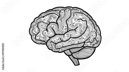 Outline of a human brain composed of electronic circuit paths, representing artificial intelligence, technology, or advanced thinking. Ideal for science, computing, or neuroscience themes.
