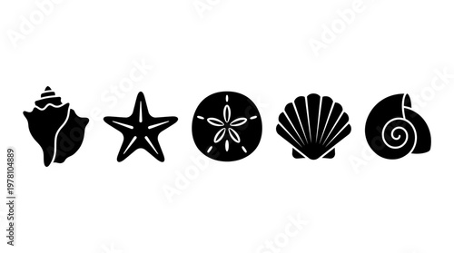 Collection of black ocean shells and starfish silhouettes perfect for beachthemed projects, coastal designs, or summer vacation promotions.