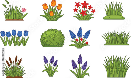 Vector collection of garden plants, colorful spring flowers, green grass tufts, blooming tulips, lavender, and shrubs isolated on white background.