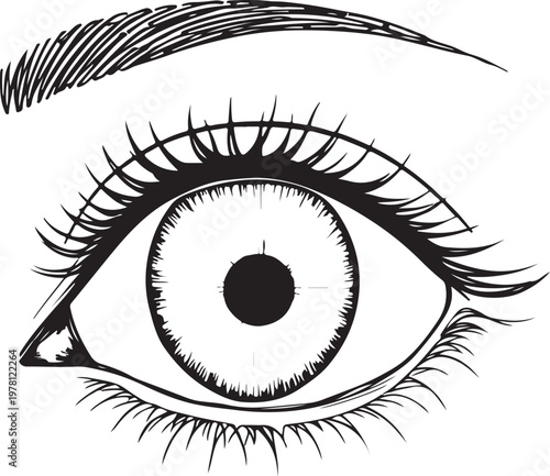 Widely Open Eye Surprised Shocked Hand-drawn Sketch Drawing Vector Illustration, Line Linear Symbol Black and White Engraving, Isolated