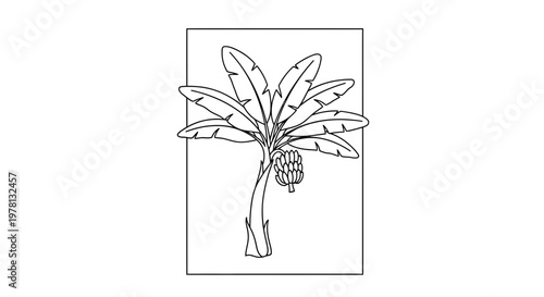 Banana Tree with Bunch of Bananas - Line Art Illustration
