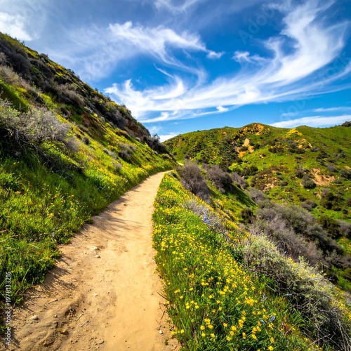Scenic Hiking Trail Winding Through Lush Green Hills Under a Dramatic Sky.