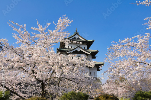 花霞の中に佇む弘前城
