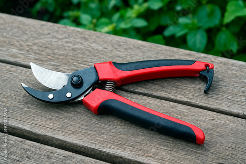 Garden pruners on a wooden surface. Professional secateurs for trimming plants. Red and black gardening hand tools on a rustic wood background