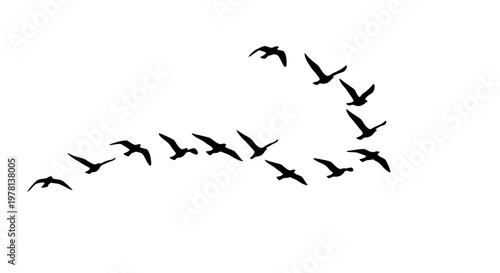 Vector illustration of a black silhouette bird flying in formation across the sky, presented as a simple icon design forming a pattern against a clean white background, conveying a sense