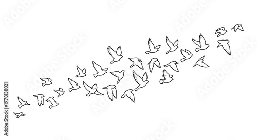 Vector illustration of a flock of birds flying in silhouette, forming a pattern against the sky, a design that conveys freedom and movement with an artistic and minimalist background