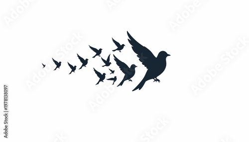 Vector illustration showing a flock of birds flying in a black silhouette, their formation creating a pattern against a clean white background, conveying a sense of freedom and movement