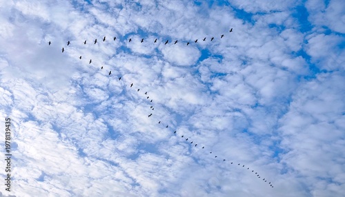blue sky with clouds