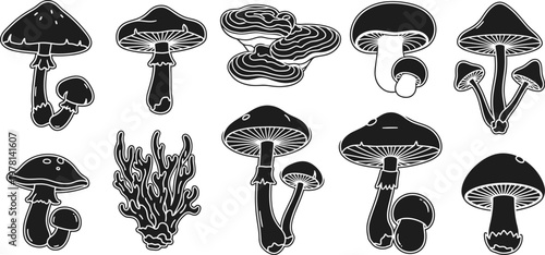Mushroom botanical sketches set for wild fungi identification