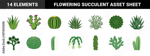 Desert Botanical Cacti Succulent Set